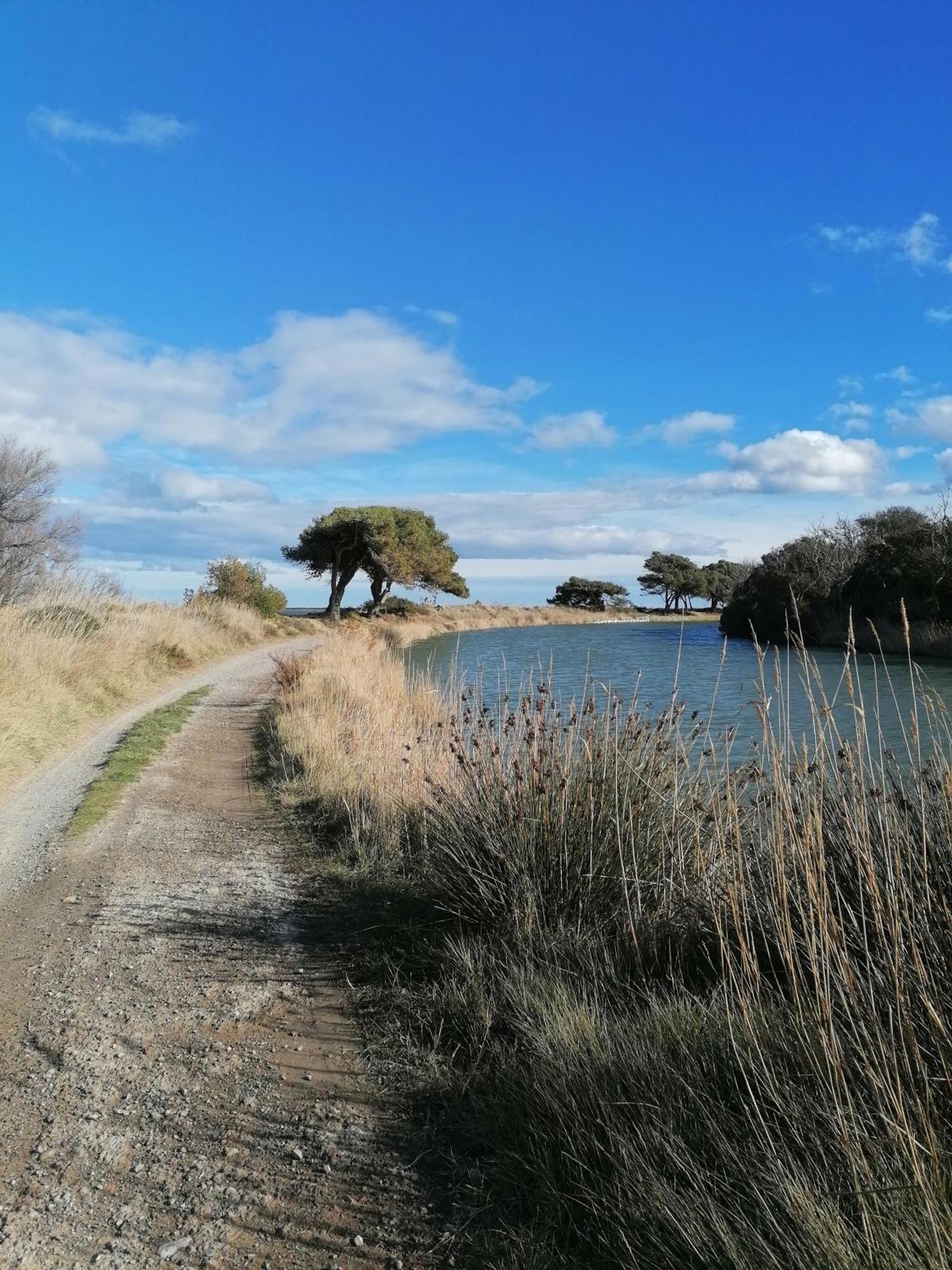 Entre Mer Et Roseaux - Piscine - Proche Centre Et Mer - Petfriendly Port-la-Nouvelle Luaran gambar